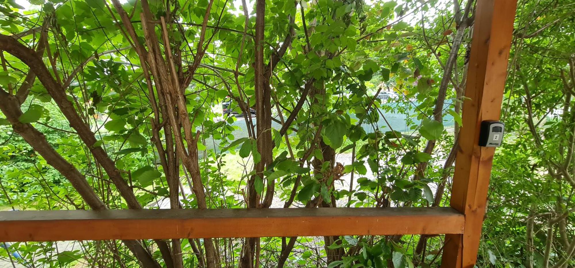 Apartmany Orlová 외부 사진